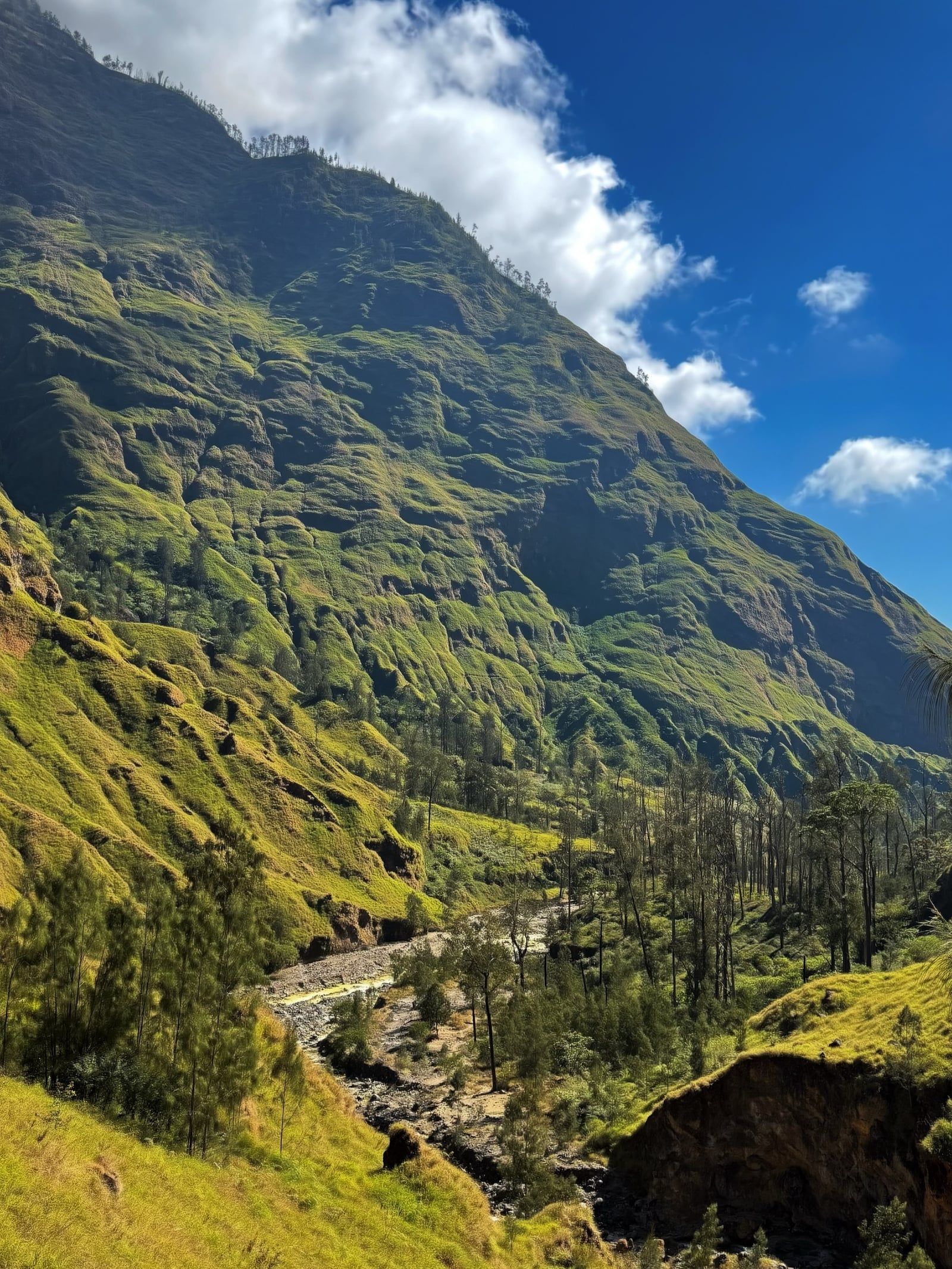 Mount Rinjani view